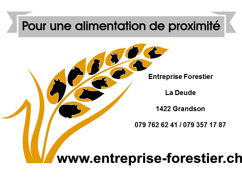 Logo entreprise Forestier