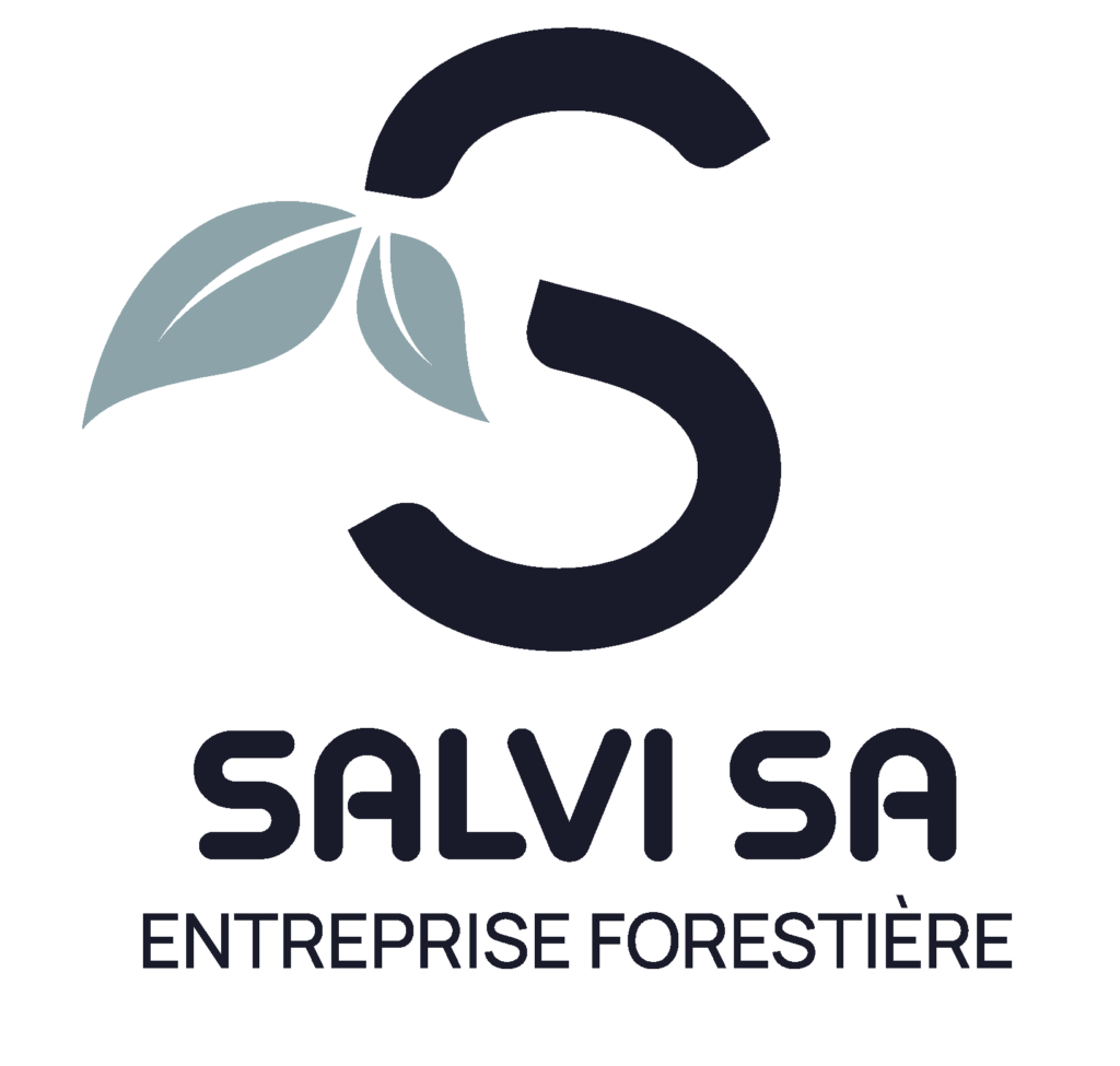 Logo Salvi SA
